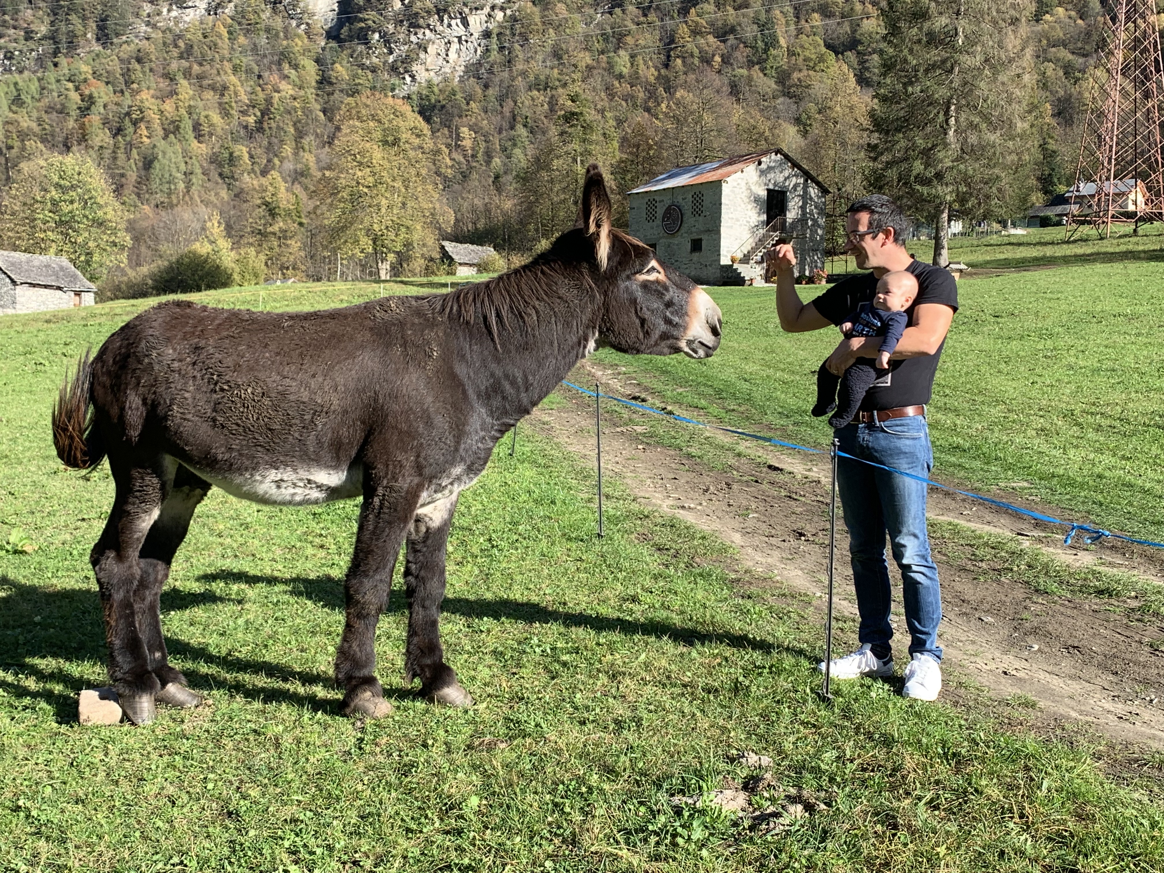 Fabio, Raffaele e un asinello